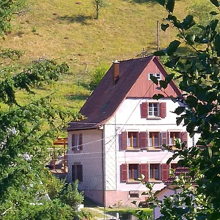 Kuckucksnest - Nid De Coucou *